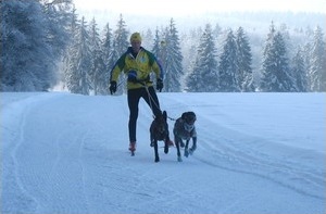 Oskar Staudenmaier beim Skij�ring