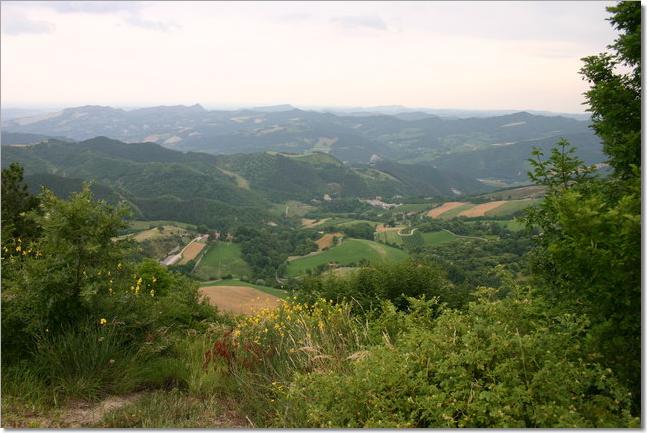 Ausblick