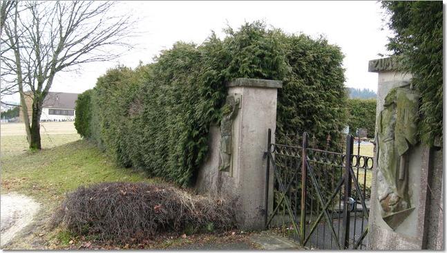 Thujahecke Friedhof