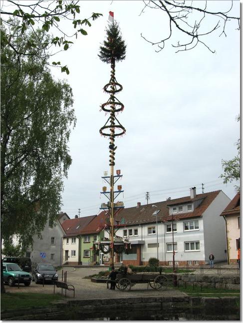 Maibaum Dorfh�lbe