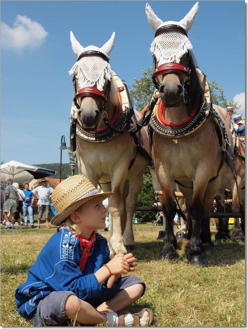 Rotag 2009