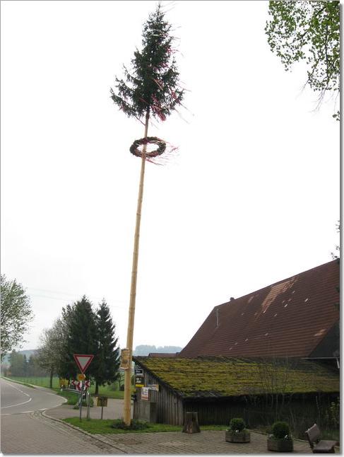 Maibaum M�hnhof